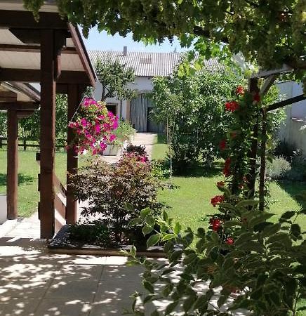 Sankt Andrä bei Frauenkirchen Ferienwohnung Maks Und Kris מראה חיצוני תמונה