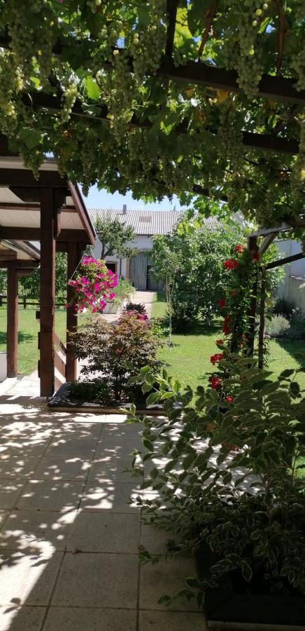 Sankt Andrä bei Frauenkirchen Ferienwohnung Maks Und Kris מראה חיצוני תמונה